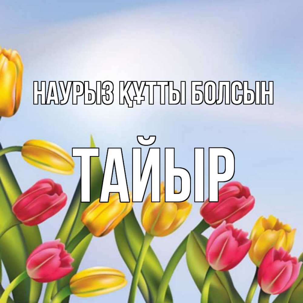 Күн сайын ашық хат с именем, ТАЙЫР Наурыз құтты болсын наурыз Онлайн тегін жүктеп алу тілектері бар керемет карта 