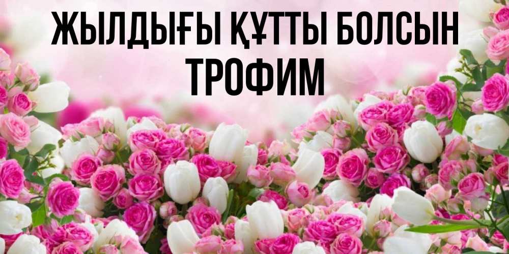 Күн сайын ашық хат с именем, Трофим Жылдығы құтты болсын открытка с разными розами Онлайн тегін жүктеп алу тілектері бар керемет карта 