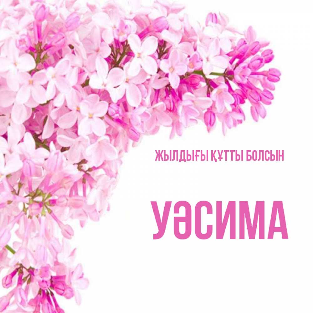 Күн сайын ашық хат с именем, УӘСИМА Жылдығы құтты болсын Сирень на белом фоне Онлайн тегін жүктеп алу тілектері бар керемет карта 