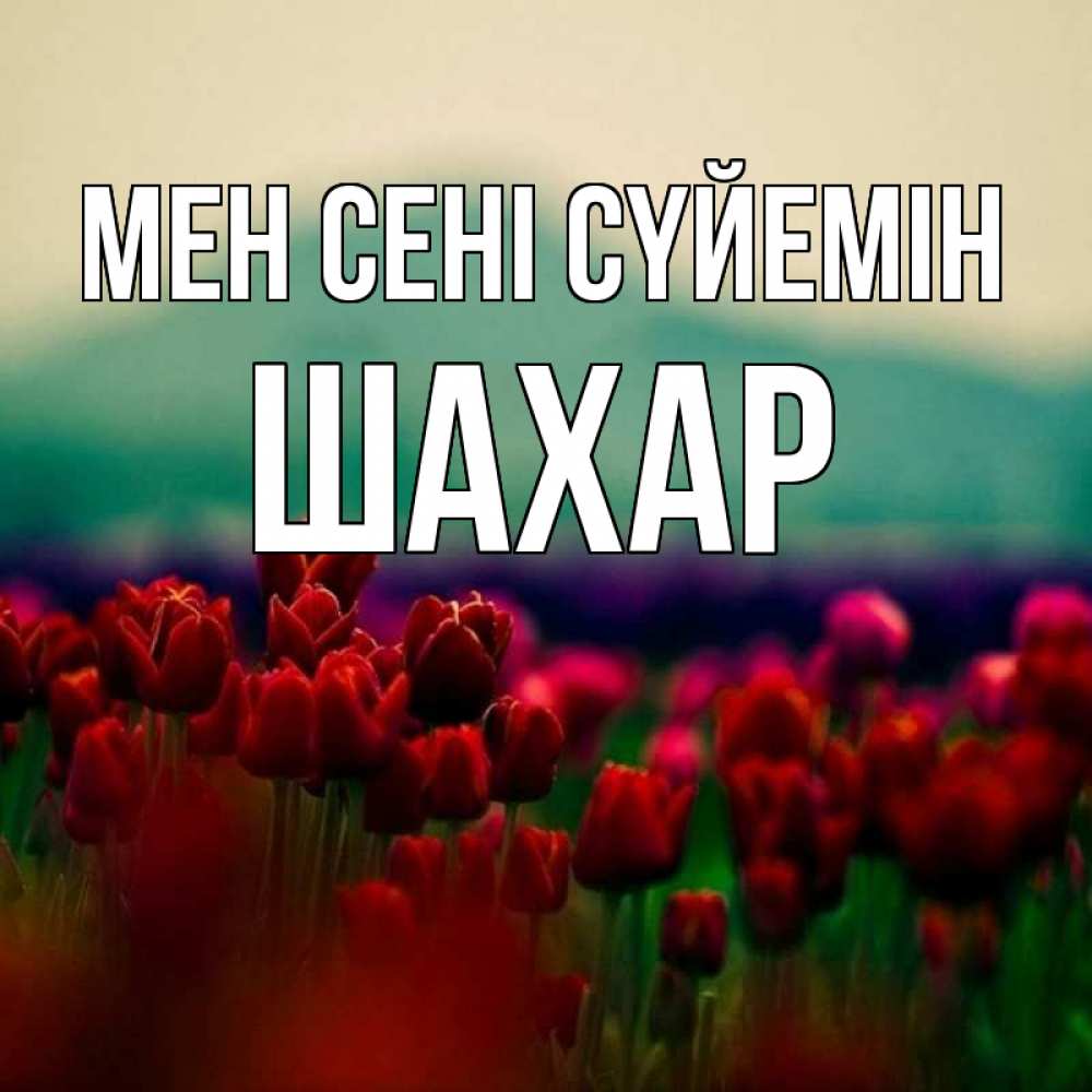 Күн сайын ашық хат с именем, ШАХАР Мен сені сүйемін тюльпаны 4 Онлайн тегін жүктеп алу тілектері бар керемет карта 