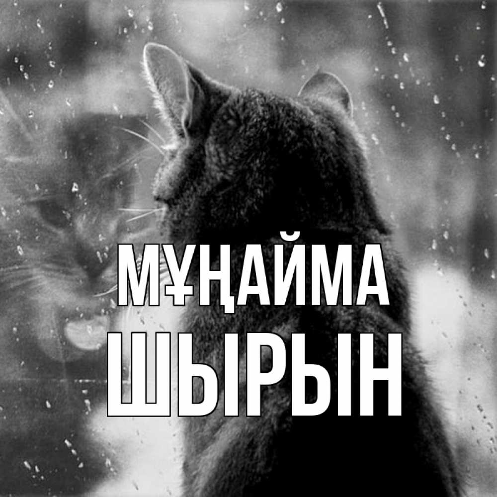 Күн сайын ашық хат с именем, ШЫРЫН Мұңайма отражение кота 1 Онлайн тегін жүктеп алу тілектері бар керемет карта 