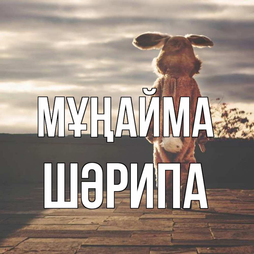 Күн сайын ашық хат с именем, ШӘРИПА Мұңайма со спины Онлайн тегін жүктеп алу тілектері бар керемет карта 