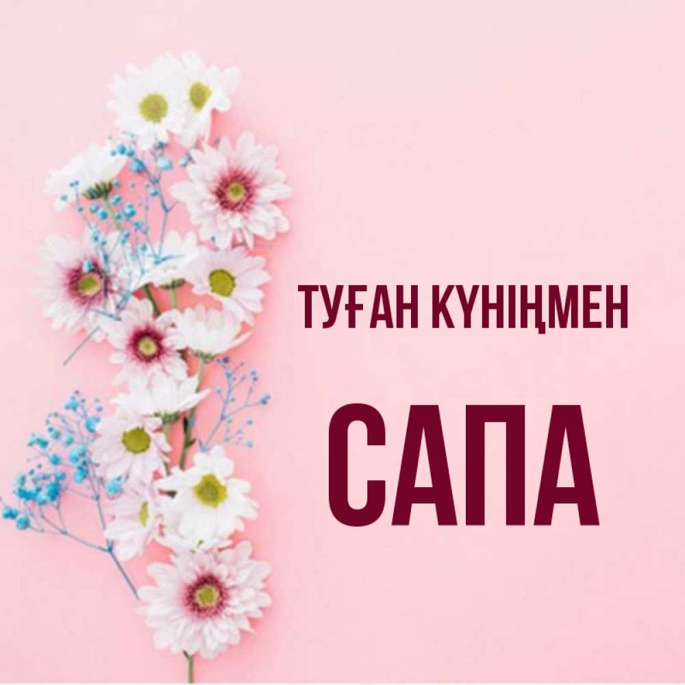 Күн сайын ашық хат с именем, САПА Туған күніңмен Родная моя с днем рождения тебя картинка с цветами белыми и голубыми Онлайн тегін жүктеп алу тілектері бар керемет карта 