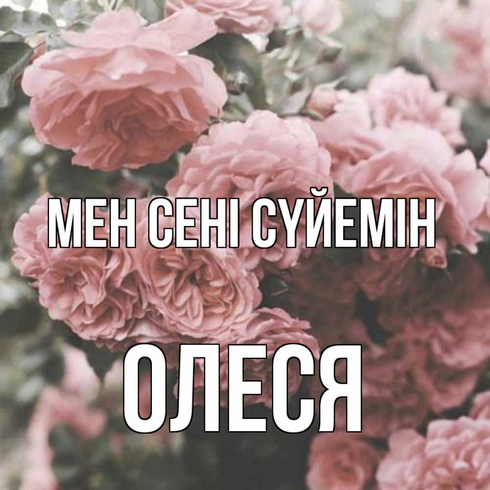 Күн сайын ашық хат с именем, Олеся Мен сені сүйемін розы 3 Онлайн тегін жүктеп алу тілектері бар керемет карта 