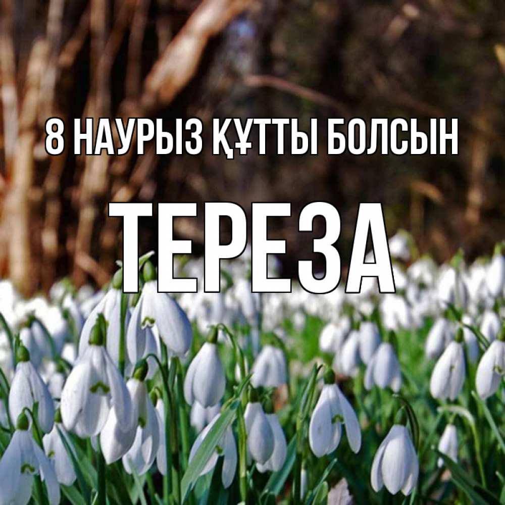 Күн сайын ашық хат с именем, Тереза 8 наурыз құтты болсын с подснежниками 1 Онлайн тегін жүктеп алу тілектері бар керемет карта 