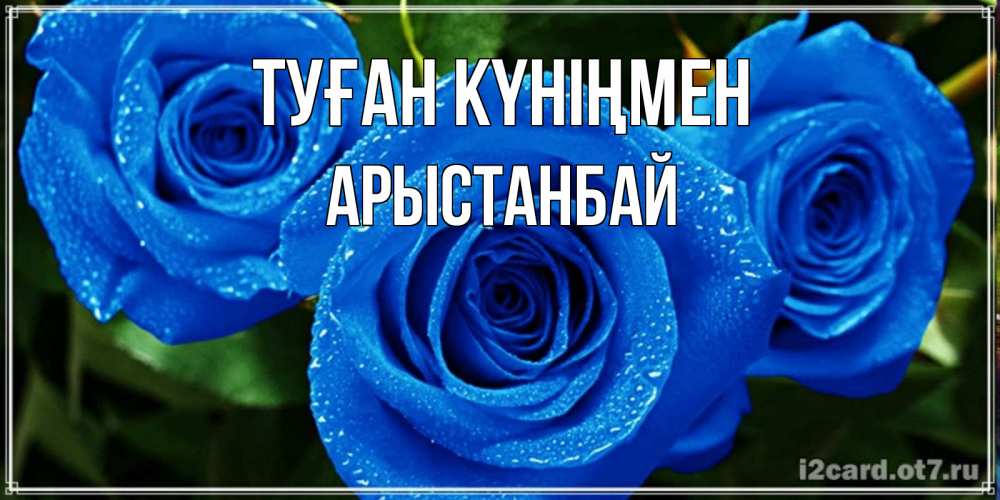 Күн сайын ашық хат с именем, Арыстанбай Туған күніңмен розы с синим цветом Онлайн тегін жүктеп алу тілектері бар керемет карта 
