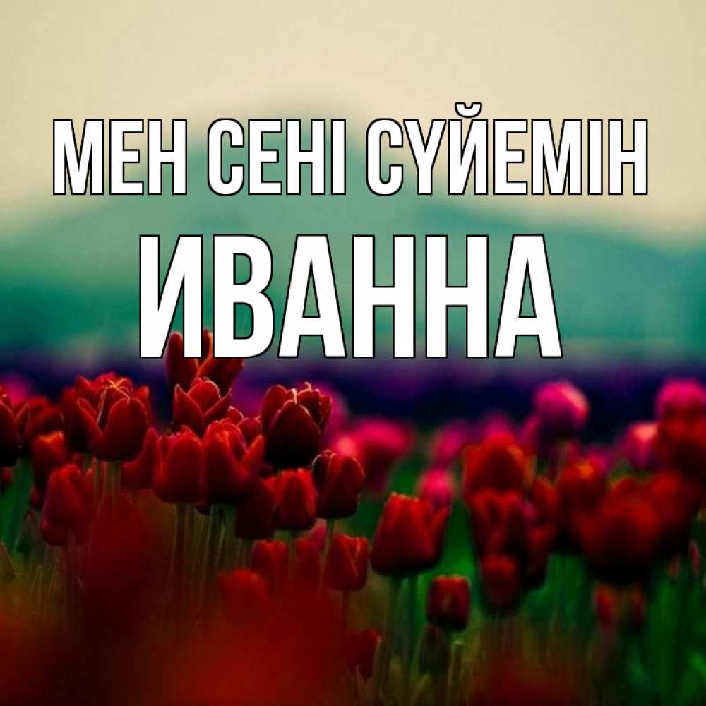 Күн сайын ашық хат с именем, Иванна Мен сені сүйемін тюльпаны 4 Онлайн тегін жүктеп алу тілектері бар керемет карта 