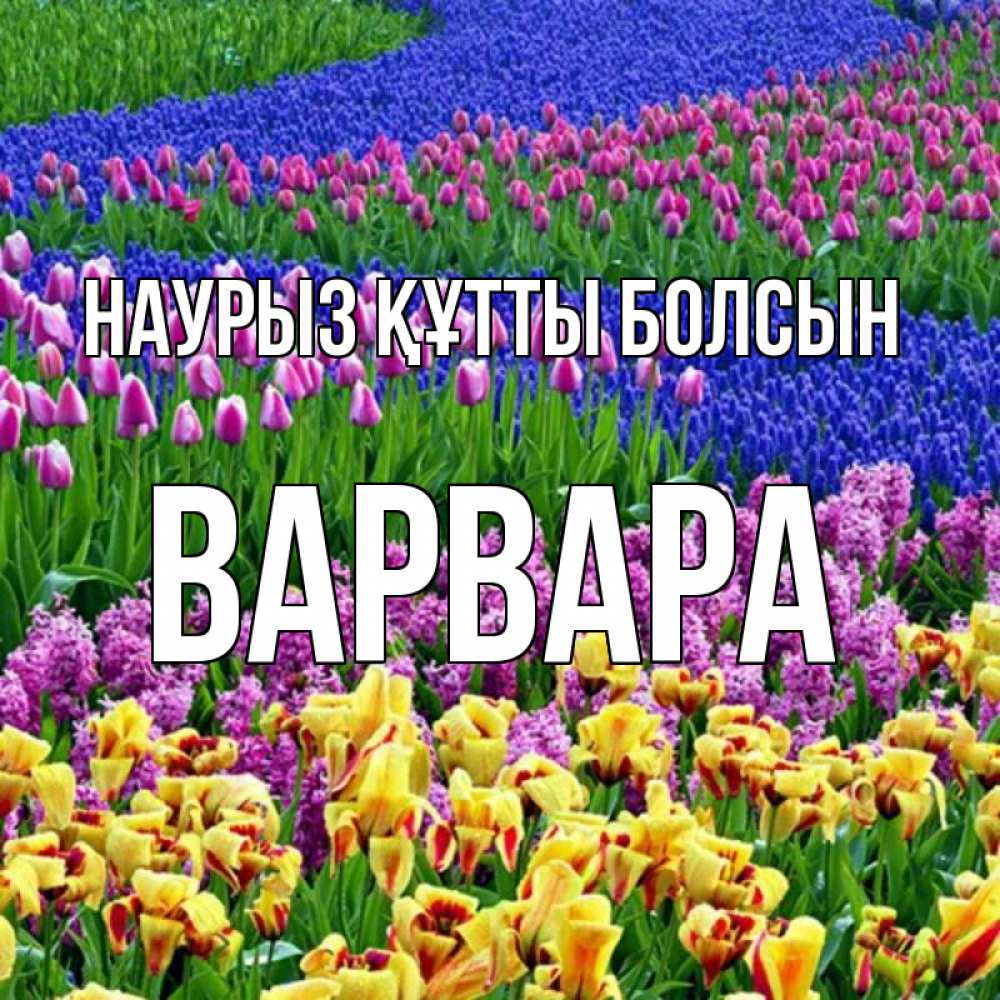 Күн сайын ашық хат с именем, Варвара Наурыз құтты болсын цветы Онлайн тегін жүктеп алу тілектері бар керемет карта 