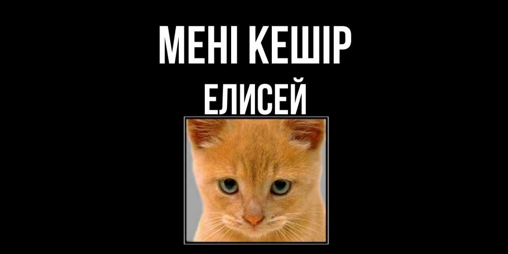Күн сайын ашық хат с именем, Елисей Мені кешір рыжий грустный кот просит прощения Онлайн тегін жүктеп алу тілектері бар керемет карта 