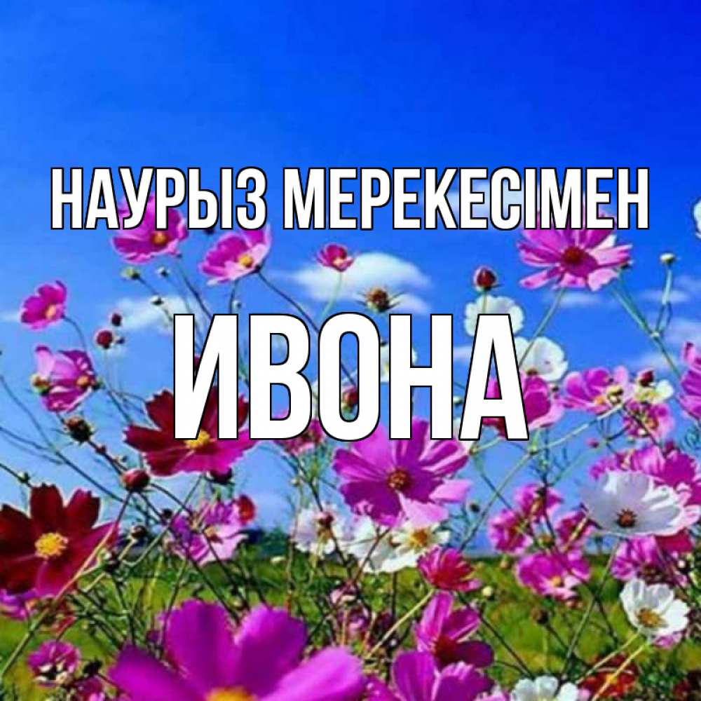 Күн сайын ашық хат с именем, Ивона Наурыз мерекесімен цветы Онлайн тегін жүктеп алу тілектері бар керемет карта 