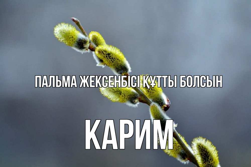 Күн сайын ашық хат с именем, Карим Пальма жексенбісі құтты болсын верба Онлайн тегін жүктеп алу тілектері бар керемет карта 