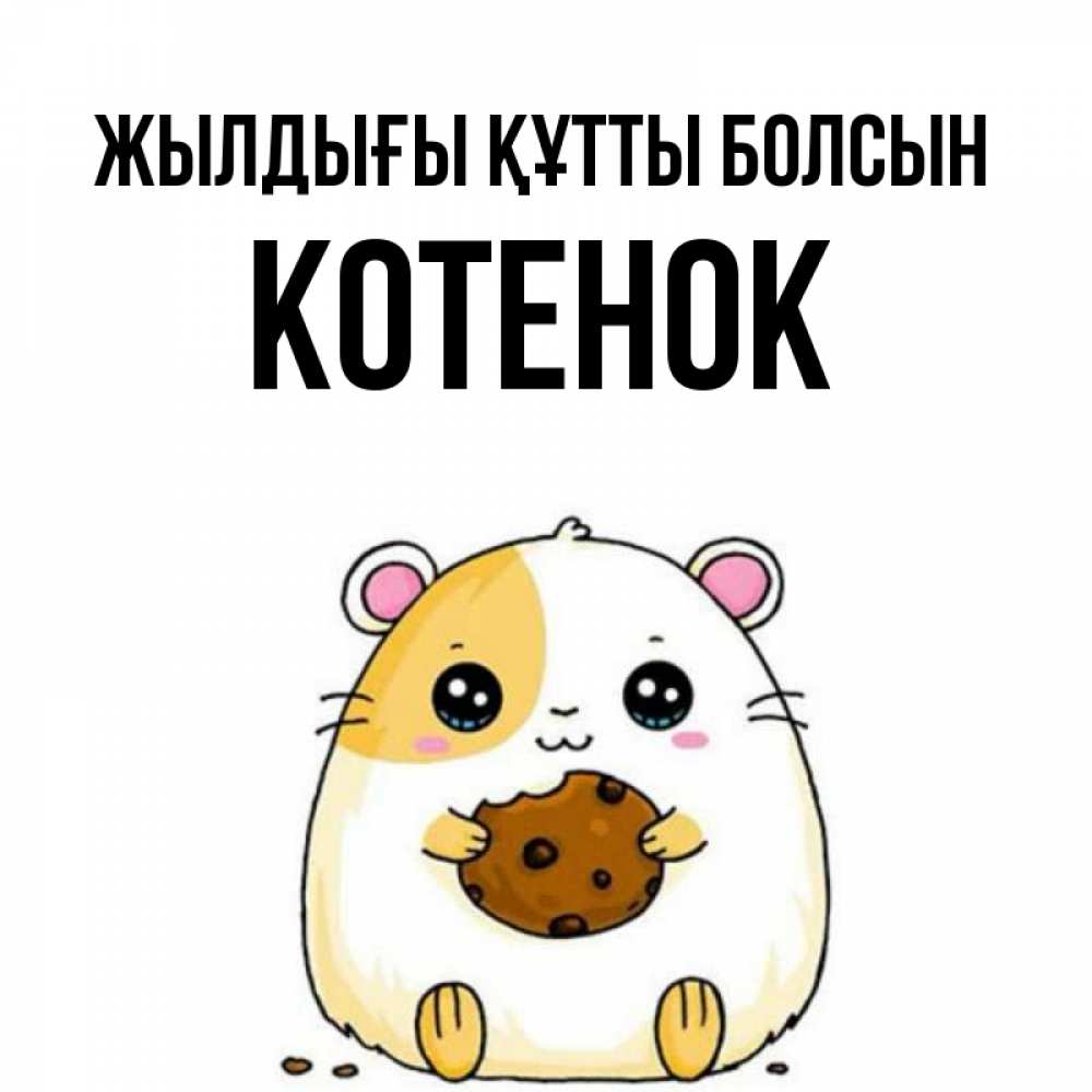 Күн сайын ашық хат с именем, Котенок Жылдығы құтты болсын с днюхой Онлайн тегін жүктеп алу тілектері бар керемет карта 