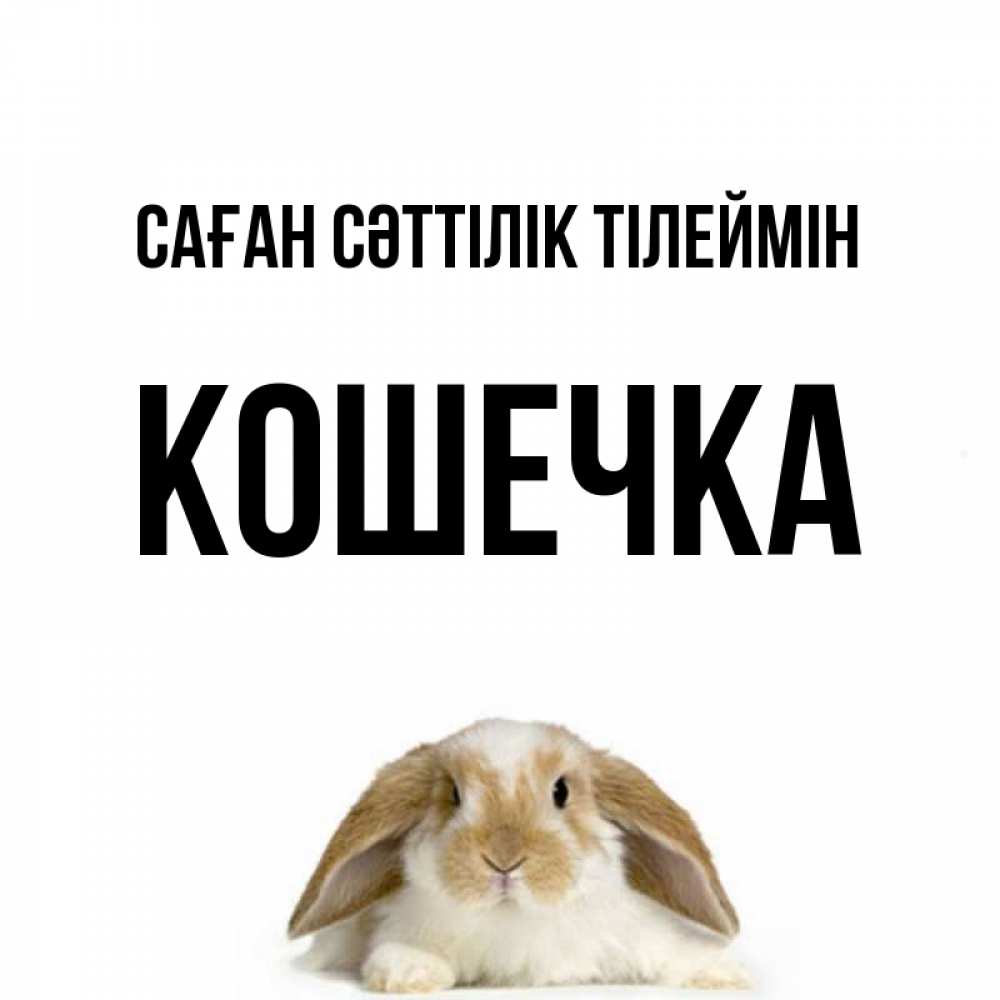 Күн сайын ашық хат с именем, Кошечка Саған сәттілік тілеймін открытки с произвольным текстом который можно вставить в открытку и создать ее самостоятельно бесплатно онлайн Онлайн тегін жүктеп алу тілектері бар керемет карта 