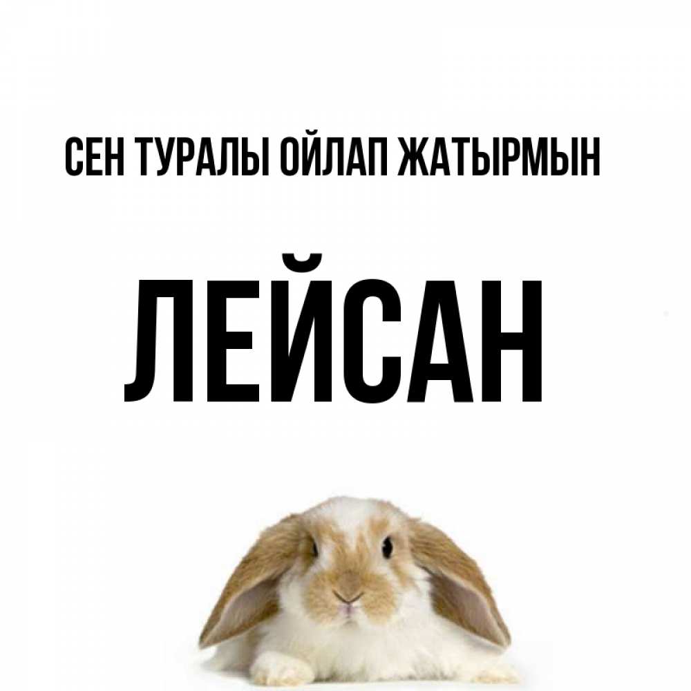 Күн сайын ашық хат с именем, Лейсан Сен туралы ойлап жатырмын подписать своими руками онлайн Онлайн тегін жүктеп алу тілектері бар керемет карта 