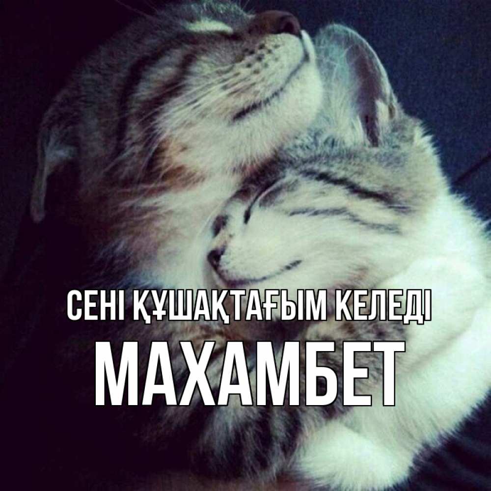 Күн сайын ашық хат с именем, МАХАМБЕТ сені құшақтағым келеді полосатики Онлайн тегін жүктеп алу тілектері бар керемет карта 
