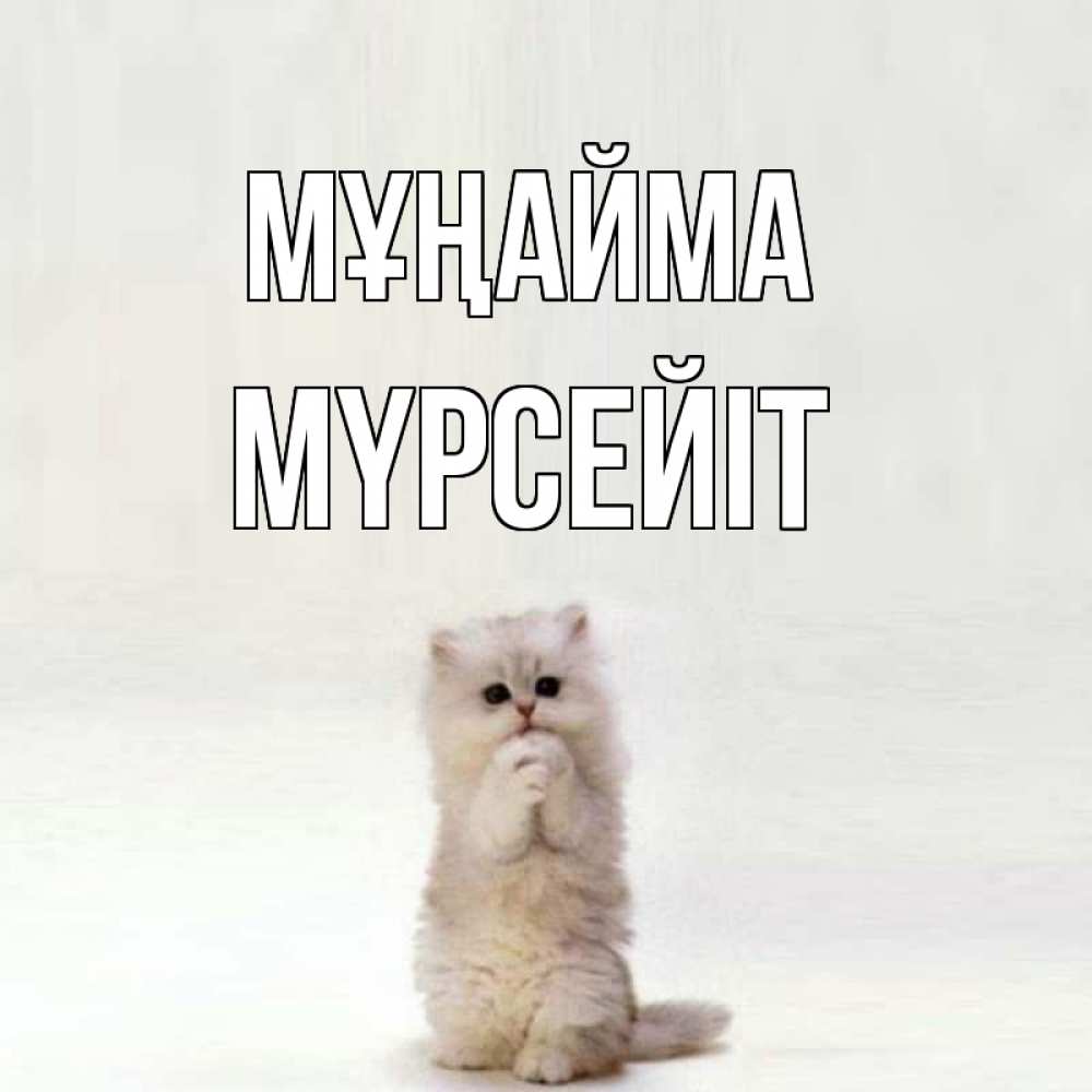Күн сайын ашық хат с именем, МҮРСЕЙІТ Мұңайма грустный кот Онлайн тегін жүктеп алу тілектері бар керемет карта 