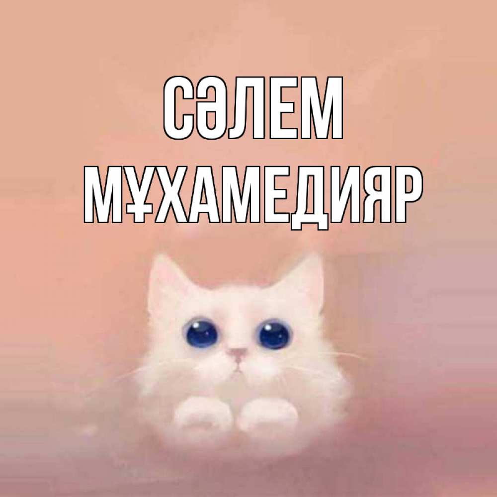 Күн сайын ашық хат с именем, МҰХАМЕДИЯР Сәлем котик белый в полете Онлайн тегін жүктеп алу тілектері бар керемет карта 