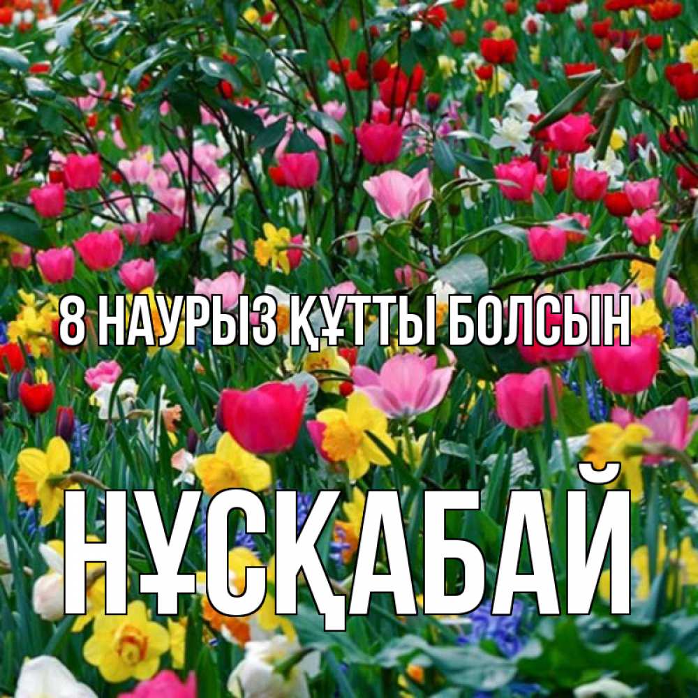 Күн сайын ашық хат с именем, НҰСҚАБАЙ 8 наурыз құтты болсын с международным женским днем поздравления для женщины Онлайн тегін жүктеп алу тілектері бар керемет карта 
