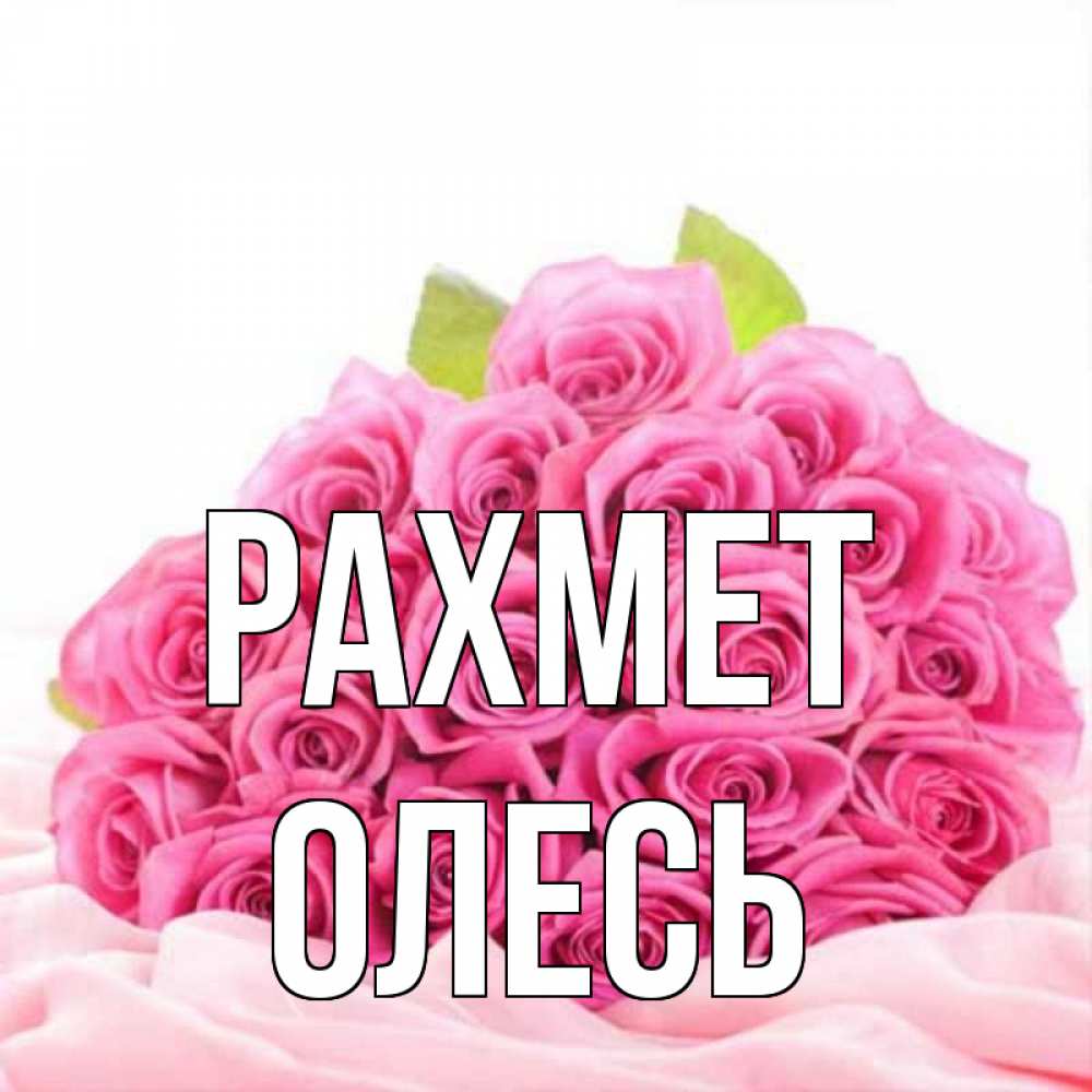 Күн сайын ашық хат с именем, Олесь рахмет розовые розы с подписью Онлайн тегін жүктеп алу тілектері бар керемет карта 