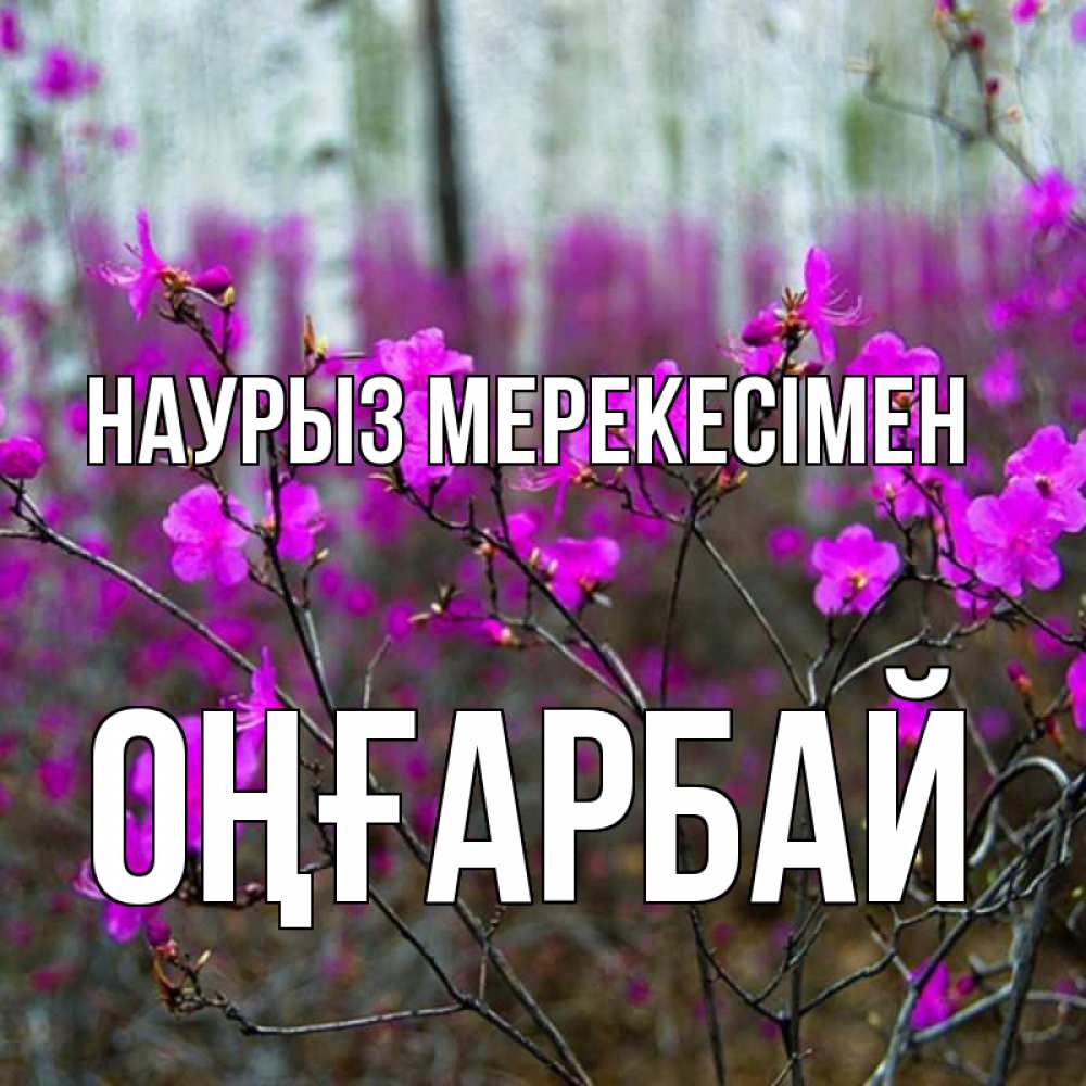 Күн сайын ашық хат с именем, ОҢҒАРБАЙ Наурыз мерекесімен дикие цветы Онлайн тегін жүктеп алу тілектері бар керемет карта 