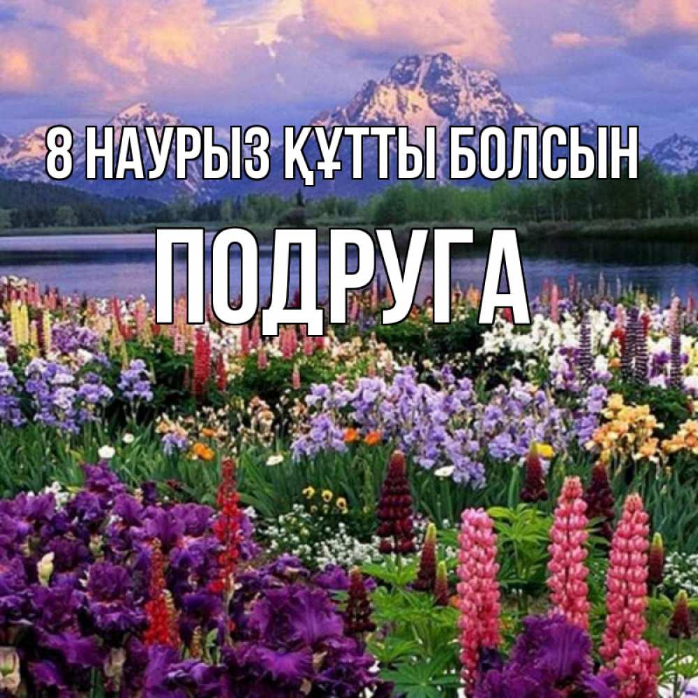 Күн сайын ашық хат с именем, Подруга 8 наурыз құтты болсын международный женский день Онлайн тегін жүктеп алу тілектері бар керемет карта 