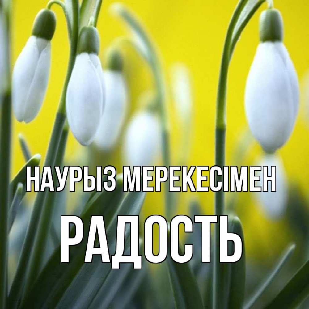 Күн сайын ашық хат с именем, Радость Наурыз мерекесімен весенние цветы Онлайн тегін жүктеп алу тілектері бар керемет карта 