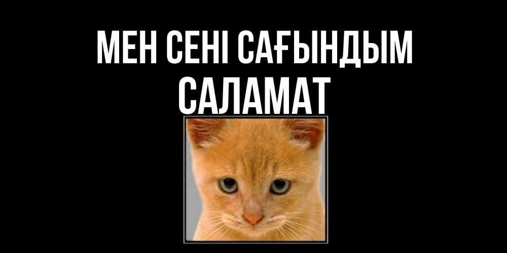 Күн сайын ашық хат с именем, САЛАМАТ Мен сені сағындым открытки рыжий котенок скучает по тебе Онлайн тегін жүктеп алу тілектері бар керемет карта 