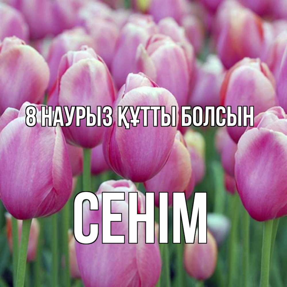 Күн сайын ашық хат с именем, СЕНІМ 8 наурыз құтты болсын на международный женский день 3 Онлайн тегін жүктеп алу тілектері бар керемет карта 