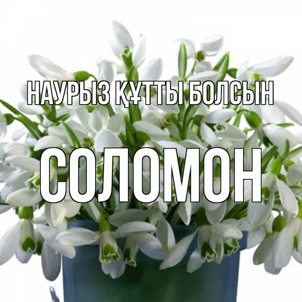 Күн сайын ашық хат с именем, Соломон Наурыз құтты болсын цветы к наурызу Онлайн тегін жүктеп алу тілектері бар керемет карта 