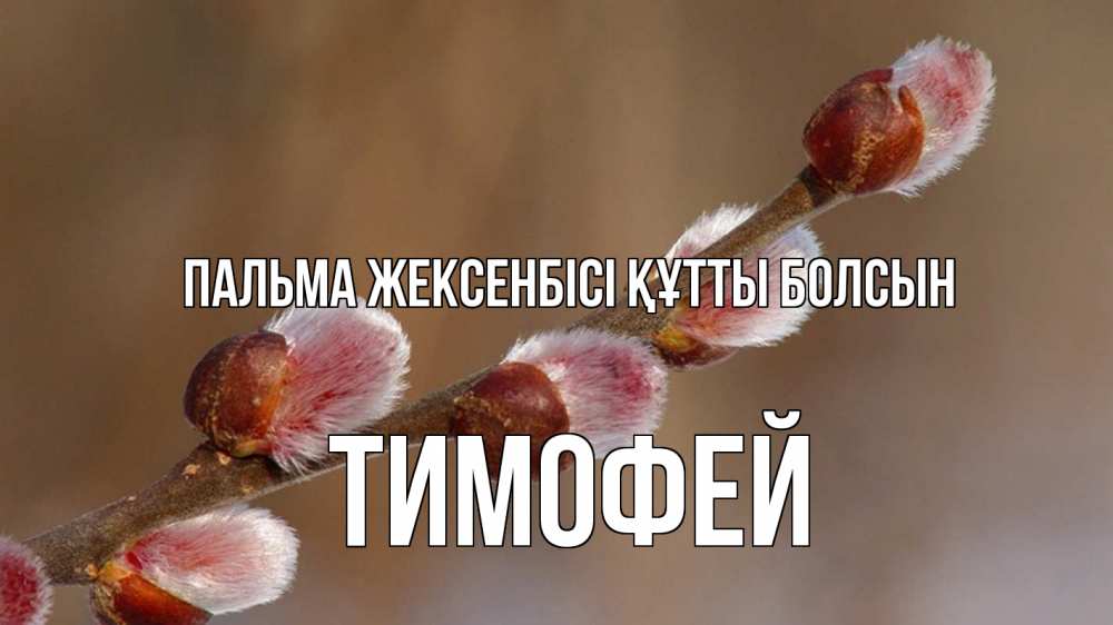 Күн сайын ашық хат с именем, Тимофей Пальма жексенбісі құтты болсын верба Онлайн тегін жүктеп алу тілектері бар керемет карта 