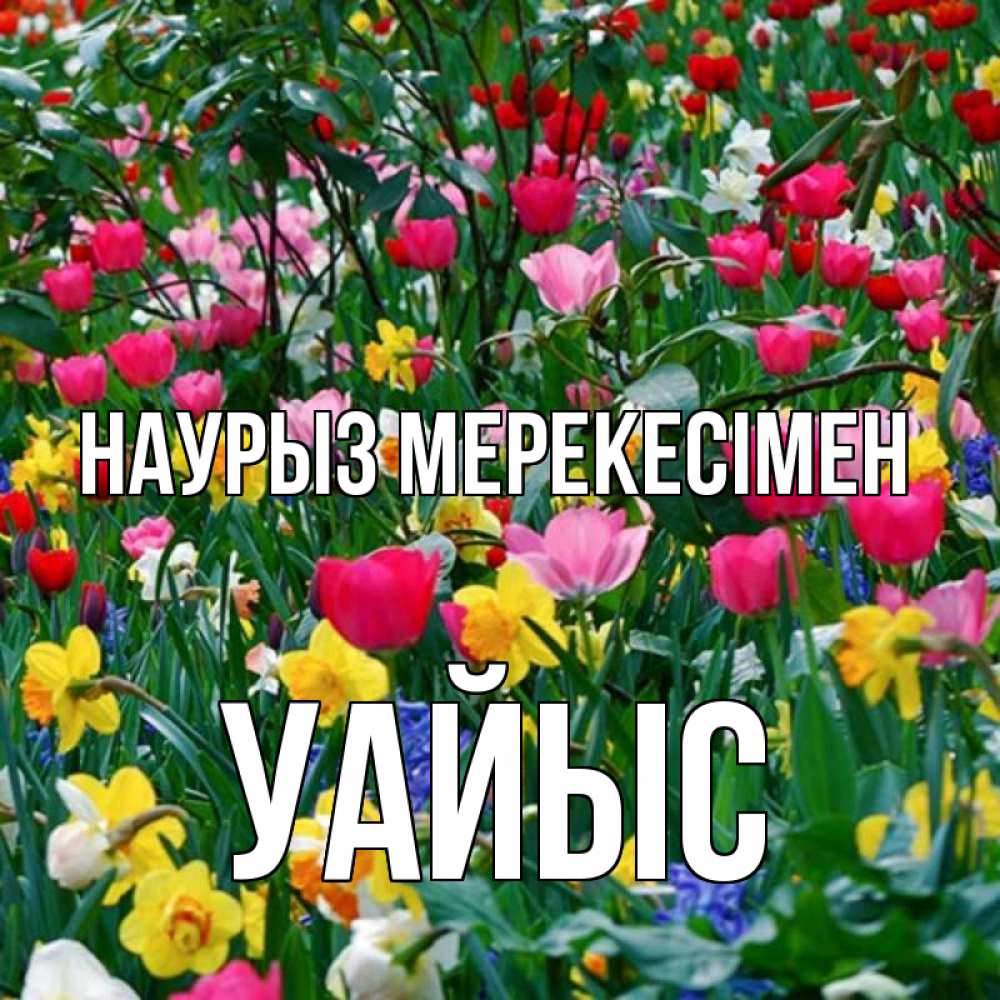 Күн сайын ашық хат с именем, УАЙЫС Наурыз мерекесімен с наурызом праздником весны поздравления для женщины Онлайн тегін жүктеп алу тілектері бар керемет карта 