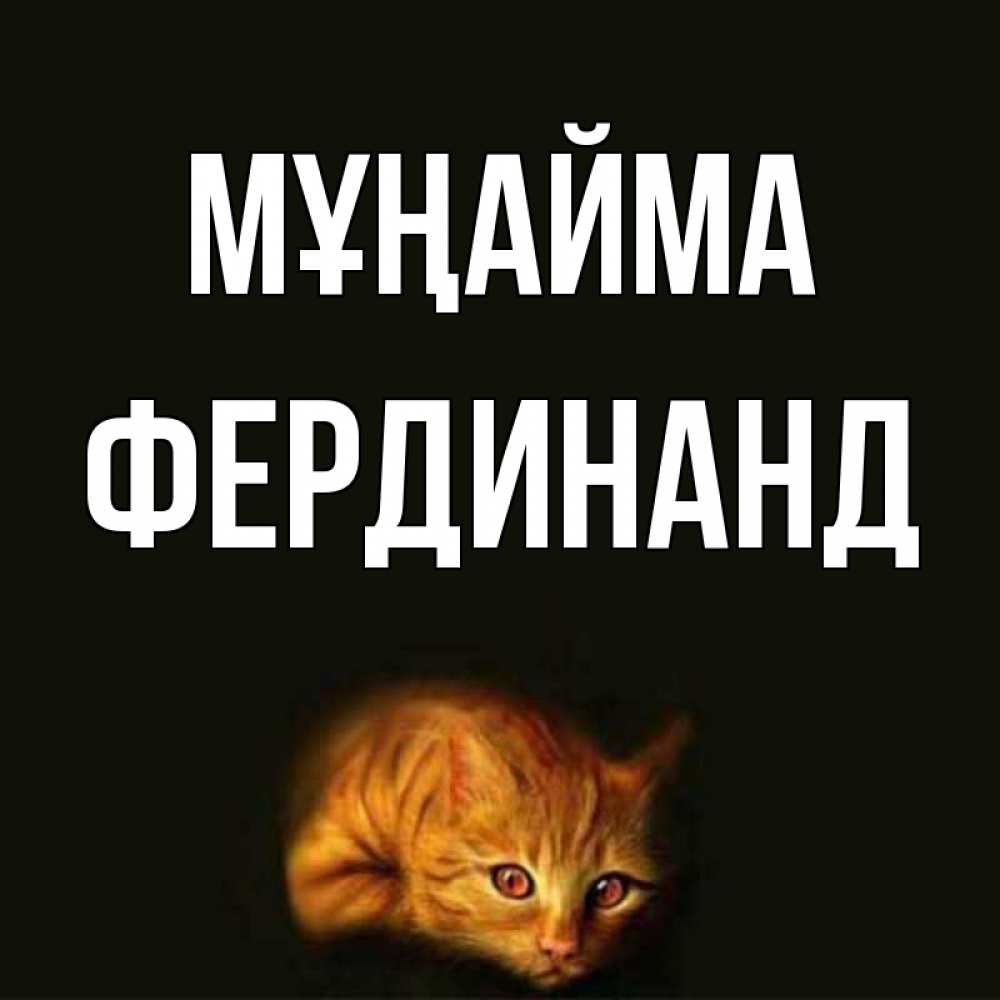 Күн сайын ашық хат с именем, Фердинанд Мұңайма лежащий кот в темноте Онлайн тегін жүктеп алу тілектері бар керемет карта 