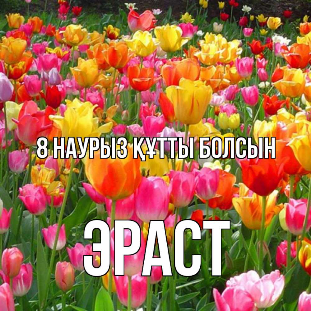 Күн сайын ашық хат с именем, Эраст 8 наурыз құтты болсын на международный женский день Онлайн тегін жүктеп алу тілектері бар керемет карта 