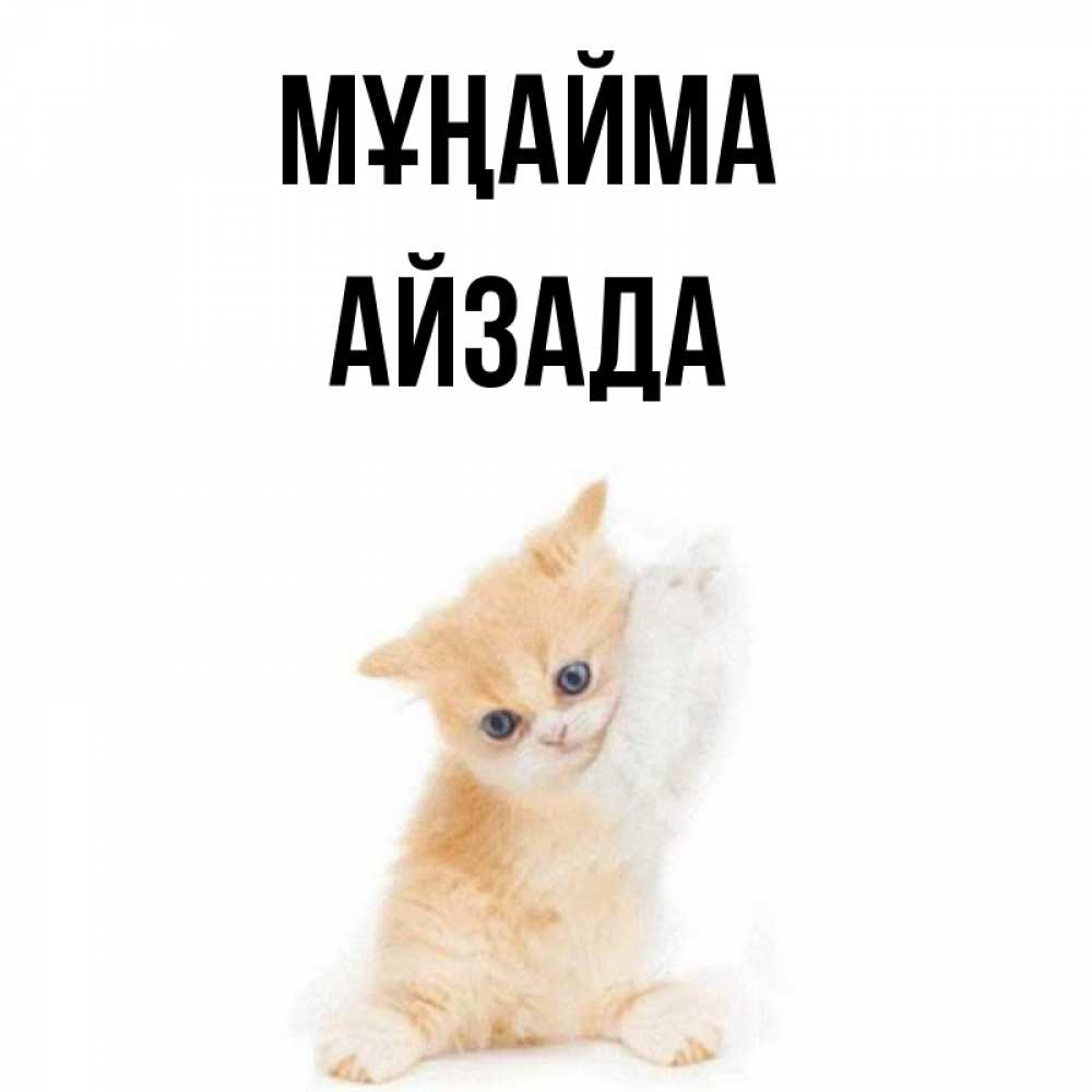 Күн сайын ашық хат с именем, АЙЗАДА Мұңайма просящий кот Онлайн тегін жүктеп алу тілектері бар керемет карта 