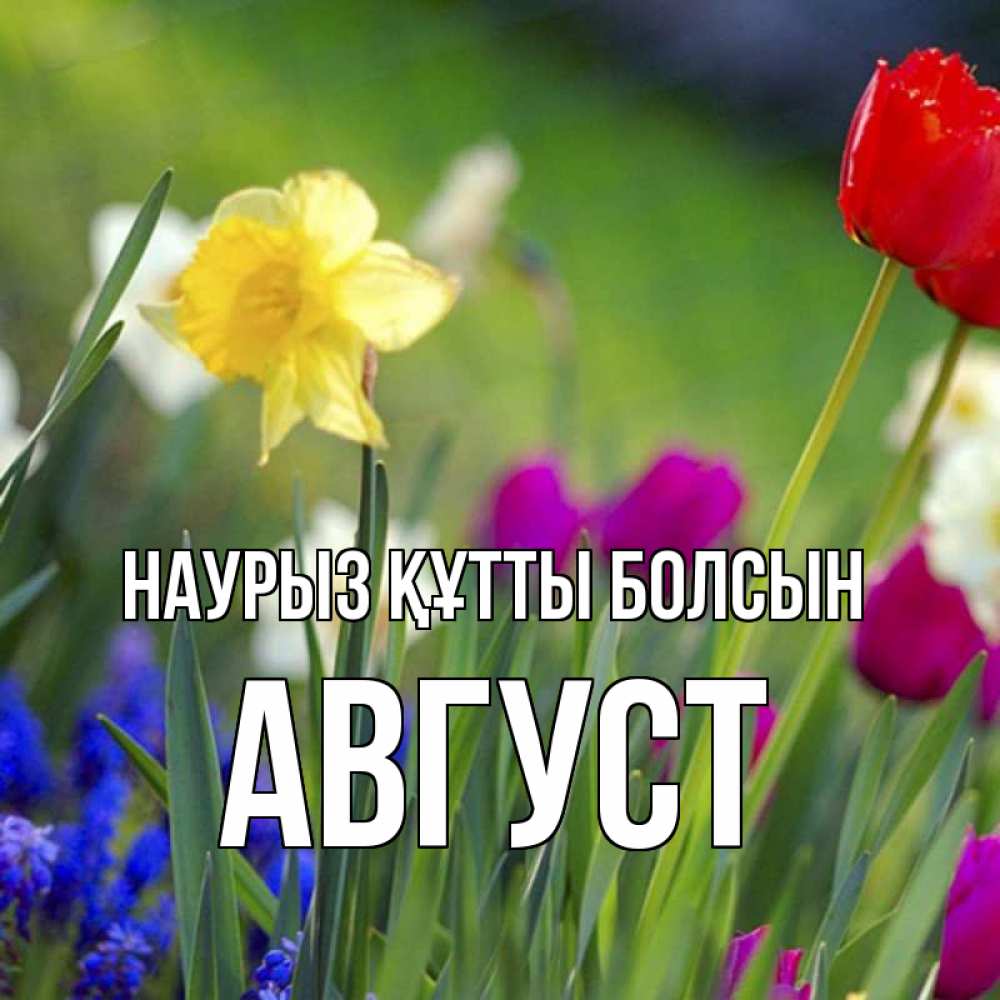 Күн сайын ашық хат с именем, Август Наурыз құтты болсын наурыз  3 открытки Онлайн тегін жүктеп алу тілектері бар керемет карта 