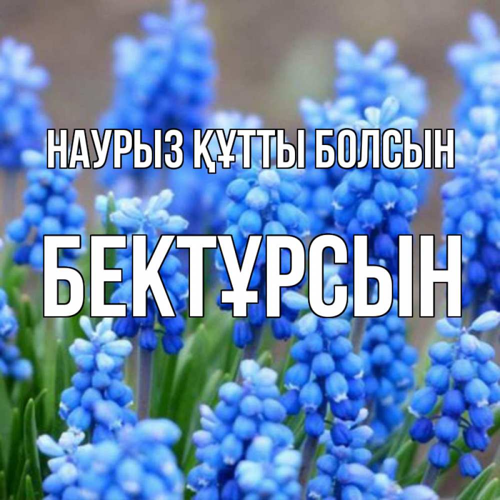 Күн сайын ашық хат с именем, Бектұрсын Наурыз құтты болсын Поздравительная открытка для женщин с цветами на праздничную дату Онлайн тегін жүктеп алу тілектері бар керемет карта 