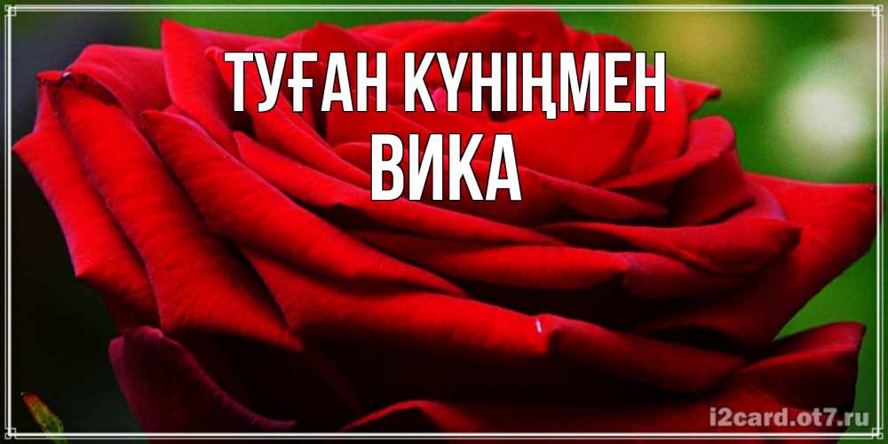 Күн сайын ашық хат с именем, Вика Туған күніңмен розочка очень красивая Онлайн тегін жүктеп алу тілектері бар керемет карта 