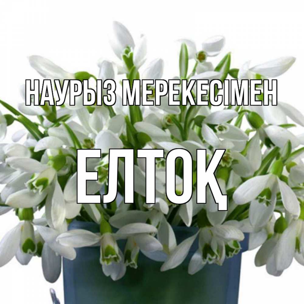 Күн сайын ашық хат с именем, Елтоқ Наурыз мерекесімен цветы к наурызу новый год в Казахстане Онлайн тегін жүктеп алу тілектері бар керемет карта 
