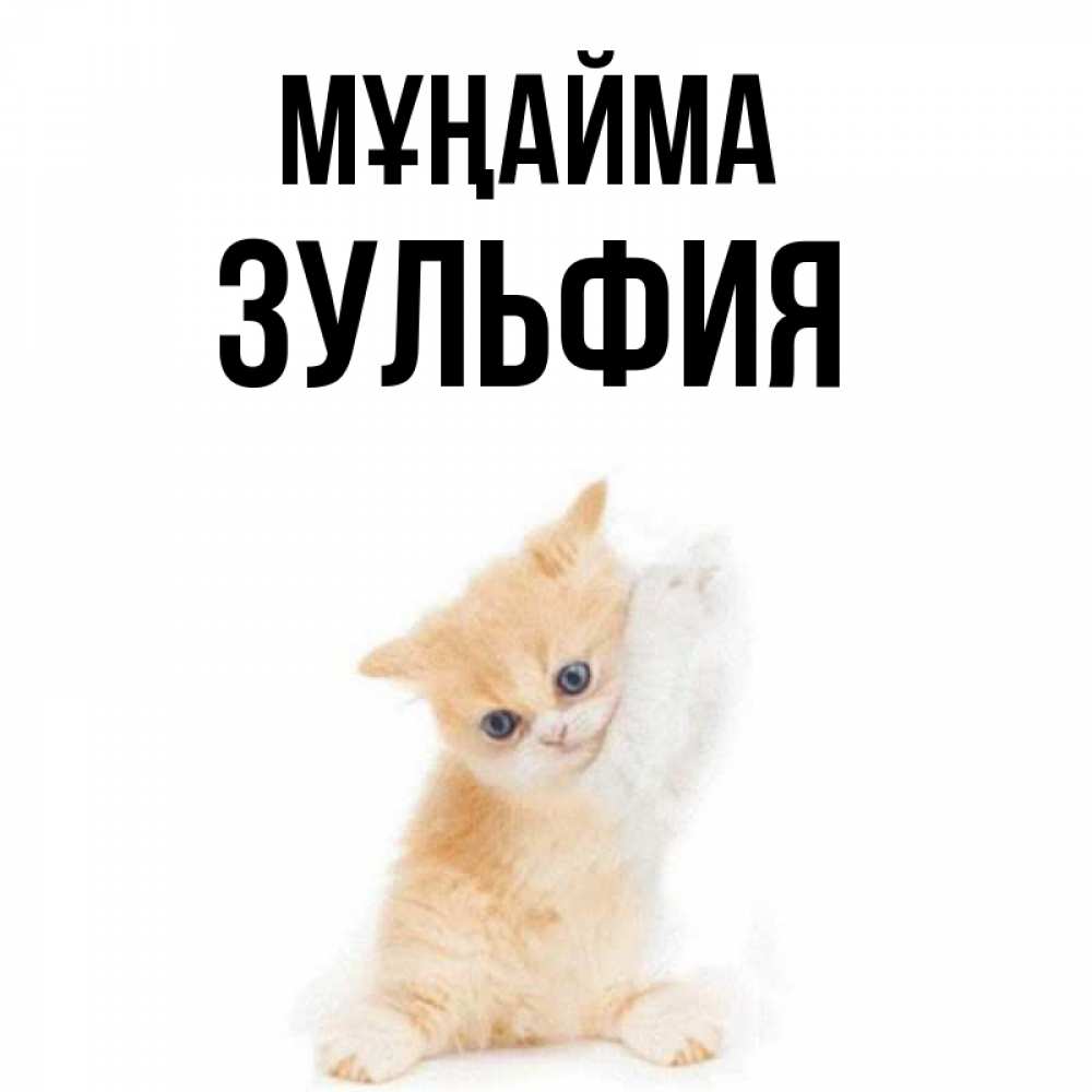Күн сайын ашық хат с именем, Зульфия Мұңайма просящий кот Онлайн тегін жүктеп алу тілектері бар керемет карта 