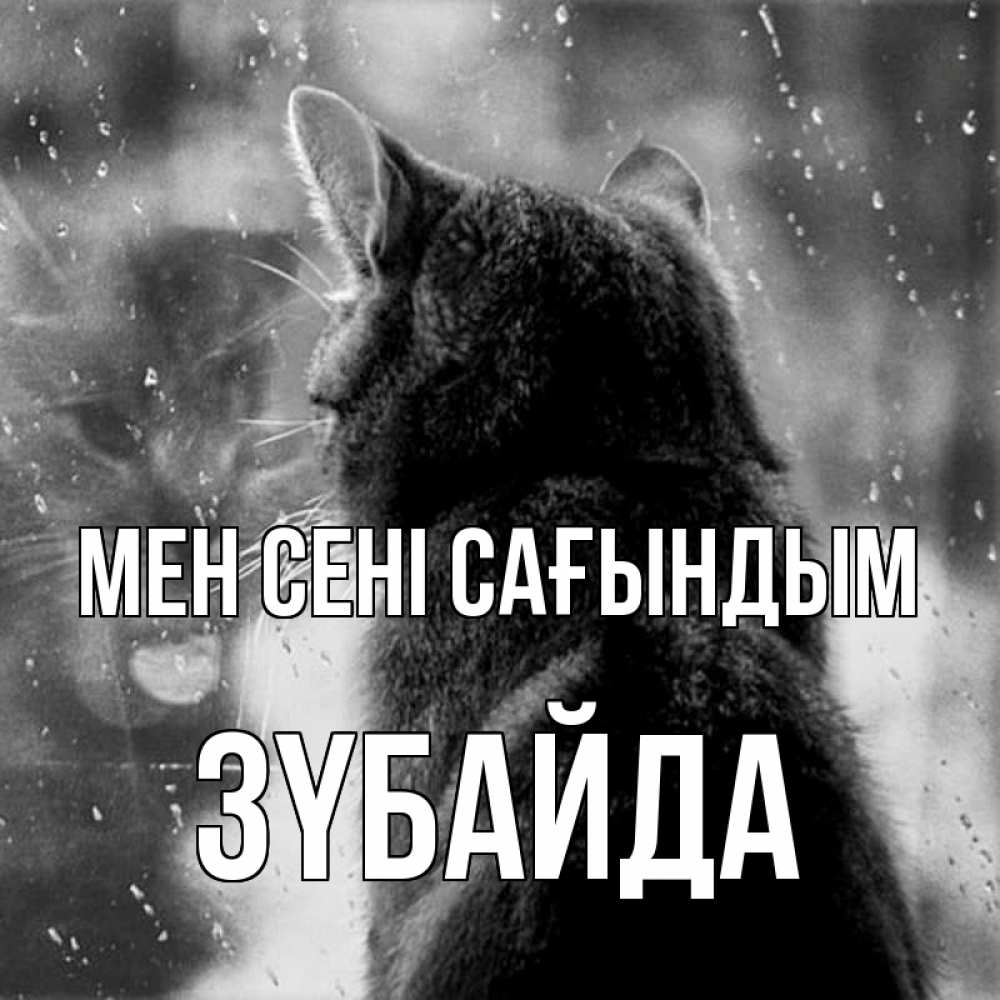 Күн сайын ашық хат с именем, ЗҮБАЙДА Мен сені сағындым скорее ко мне приходи 1 Онлайн тегін жүктеп алу тілектері бар керемет карта 