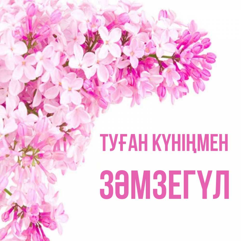 Күн сайын ашық хат с именем, ЗӘМЗЕГҮЛ Туған күніңмен Сирень на белом фоне Онлайн тегін жүктеп алу тілектері бар керемет карта 