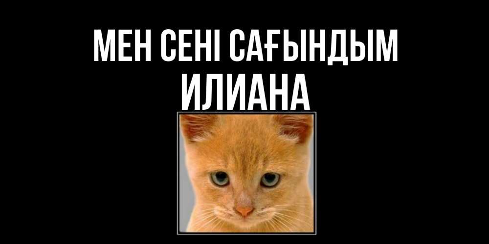 Күн сайын ашық хат с именем, Илиана Мен сені сағындым открытки рыжий котенок скучает по тебе Онлайн тегін жүктеп алу тілектері бар керемет карта 