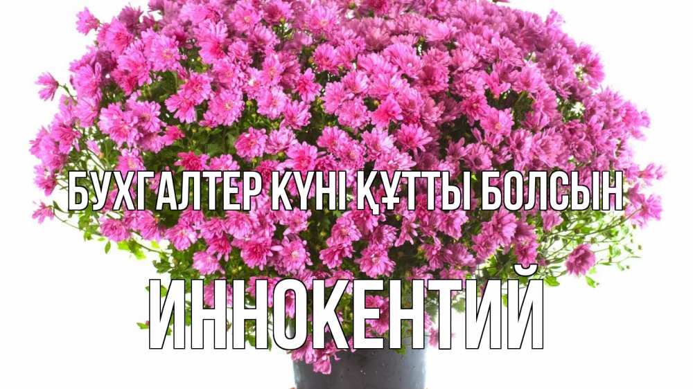 Күн сайын ашық хат с именем, Иннокентий бухгалтер күні құтты болсын с днем бухгалтера Онлайн тегін жүктеп алу тілектері бар керемет карта 