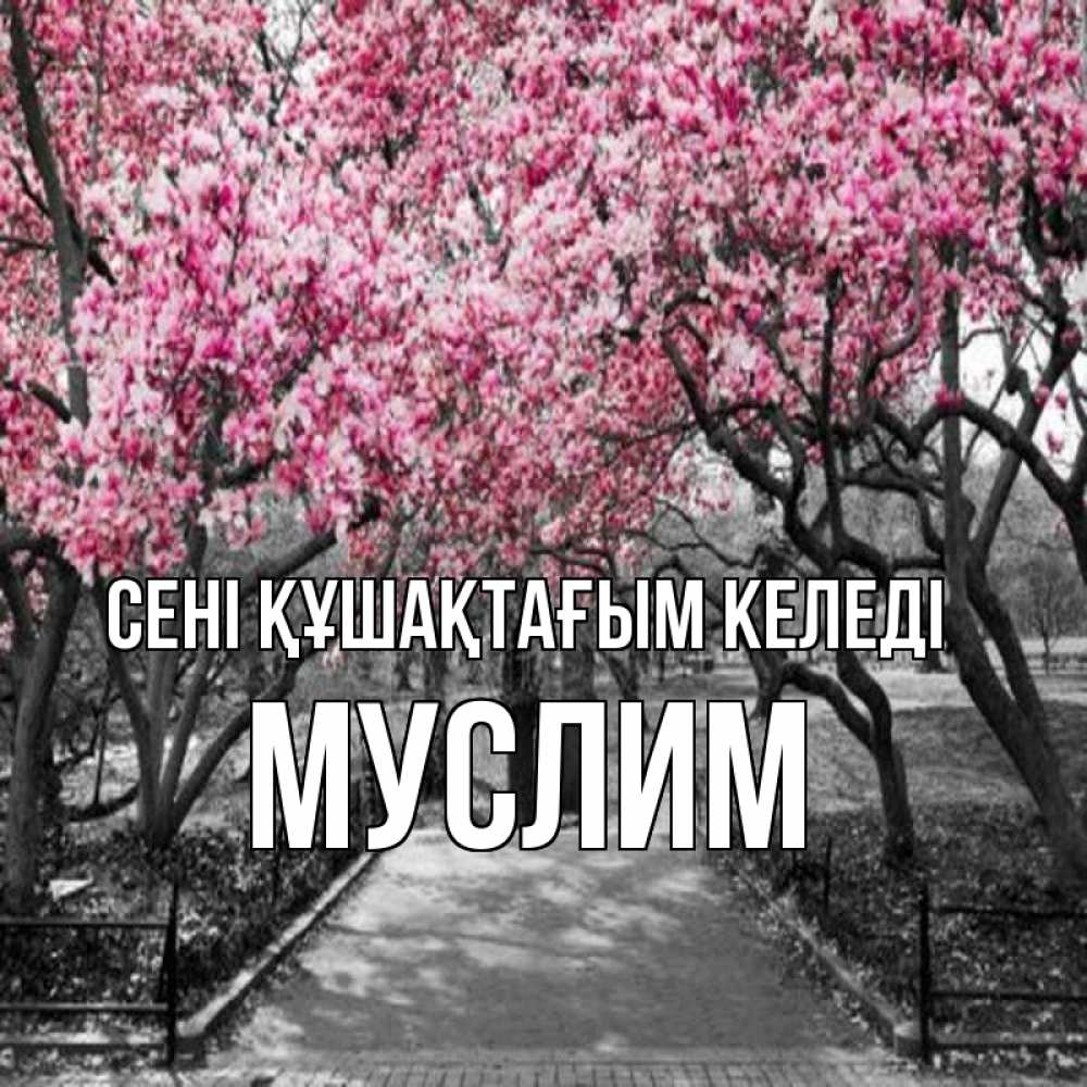 Күн сайын ашық хат с именем, Муслим сені құшақтағым келеді обработанное фото Онлайн тегін жүктеп алу тілектері бар керемет карта 
