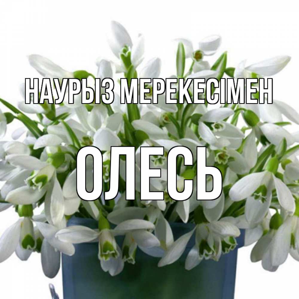 Күн сайын ашық хат с именем, Олесь Наурыз мерекесімен цветы к наурызу новый год в Казахстане Онлайн тегін жүктеп алу тілектері бар керемет карта 