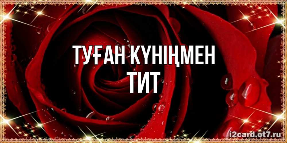 Күн сайын ашық хат с именем, Тит Туған күніңмен цветок в росе на день рождения Онлайн тегін жүктеп алу тілектері бар керемет карта 