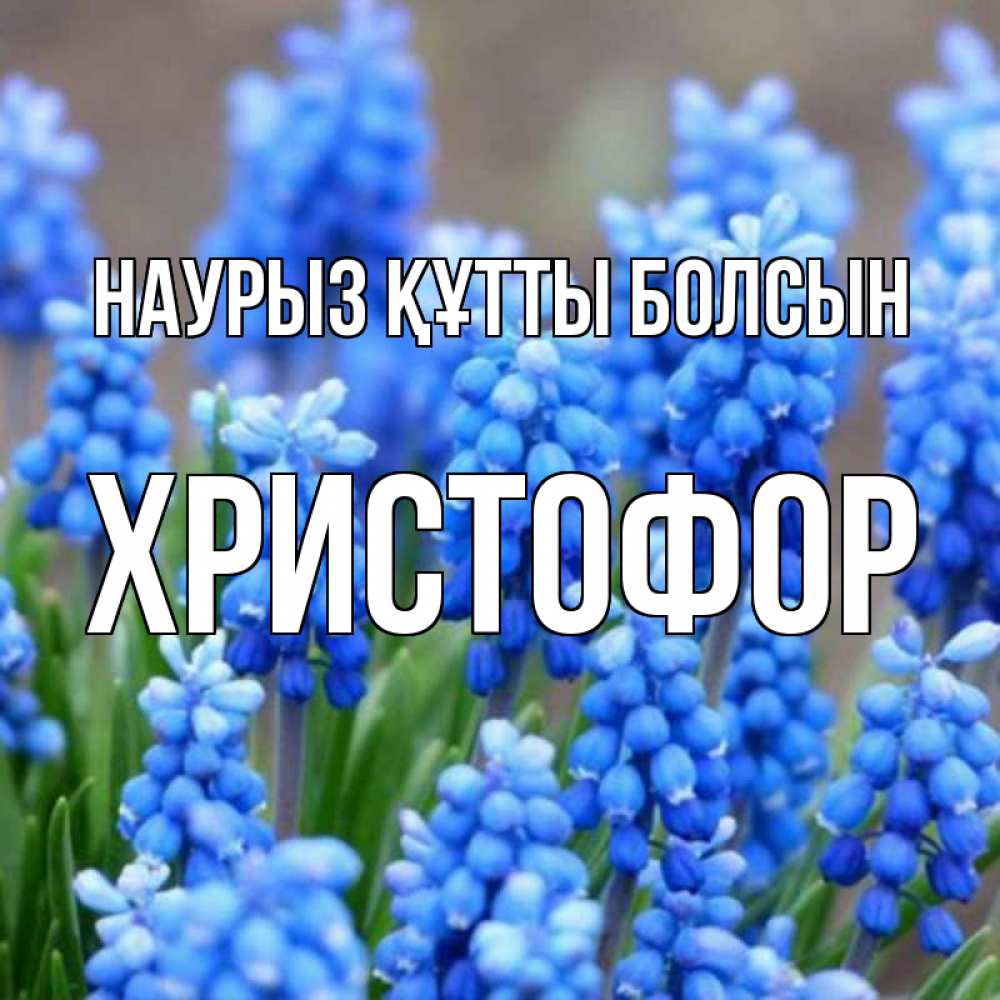 Күн сайын ашық хат с именем, Христофор Наурыз құтты болсын Поздравительная открытка для женщин с цветами на праздничную дату Онлайн тегін жүктеп алу тілектері бар керемет карта 