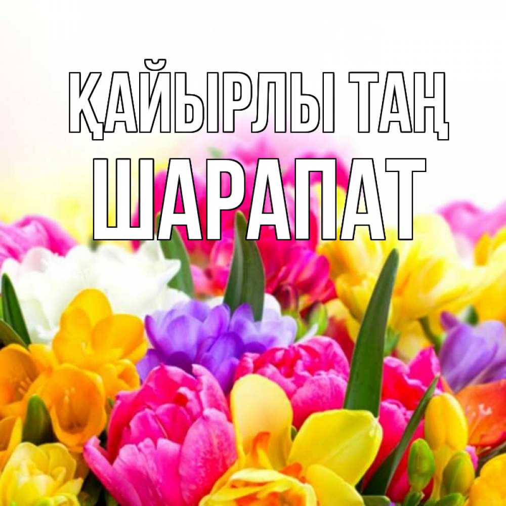 Күн сайын ашық хат с именем, ШАРАПАТ Қайырлы таң создать открытку со свое подписью Онлайн тегін жүктеп алу тілектері бар керемет карта 