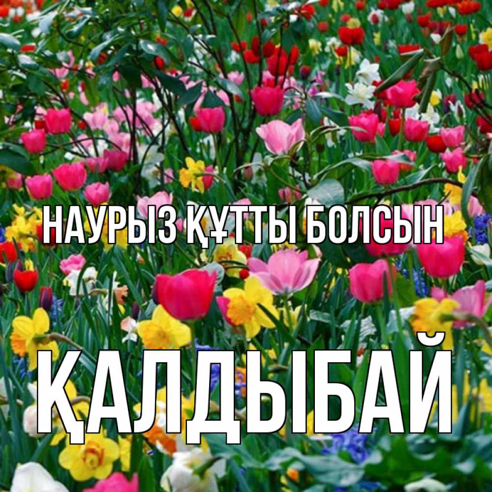 Күн сайын ашық хат с именем, Қалдыбай Наурыз құтты болсын с наурызом поздравления для женщины Онлайн тегін жүктеп алу тілектері бар керемет карта 