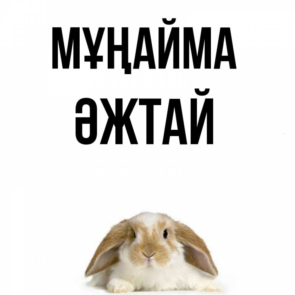 Күн сайын ашық хат с именем, Әжтай Мұңайма коричнево белый заяц с большими ушками Онлайн тегін жүктеп алу тілектері бар керемет карта 